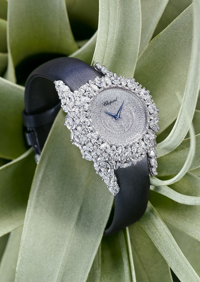 ��� ���� ���� Chopard Green Carpet