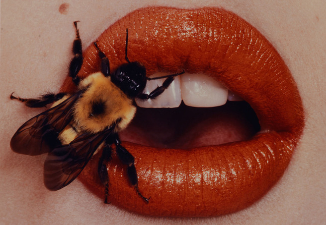 ������ ��� ����: ������������� ������ �����