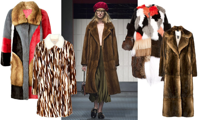 24 ����� �������� ���� ������