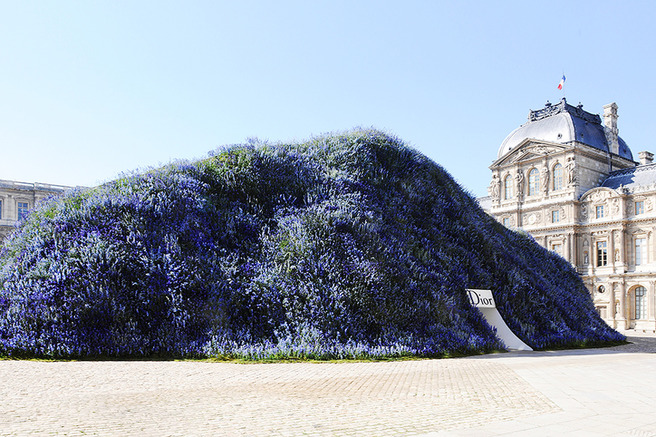 ������ ��� ��������� ����