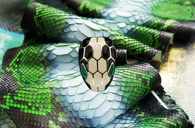 ������������� ���������� Bvlgari ��������� ����������� ���