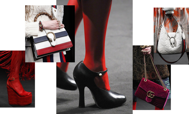 ����� � ����� Gucci �����-���� 2016