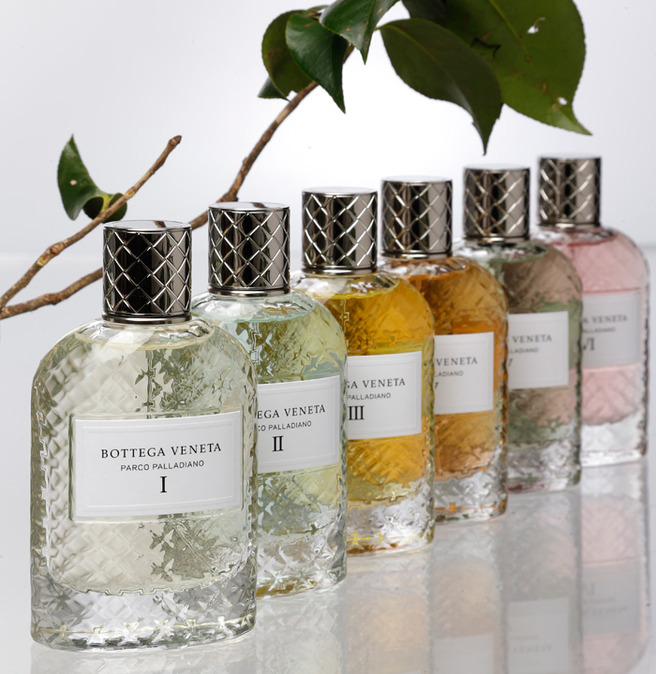 ������� ������������ ���� Bottega Veneta Parco Palladiano