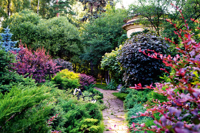 �� ���� �� � �������. ������ VII: ������� ��������