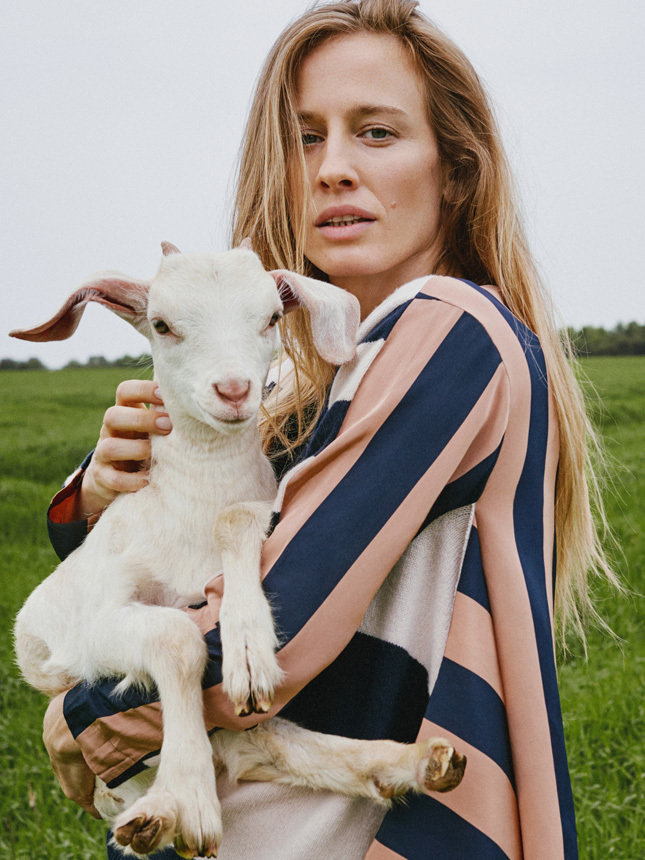 ������ ��������� ������������ �������