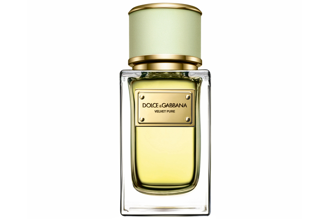 ������ ����� ������ �� ������� Dolce & Gabbana Velvet Pure