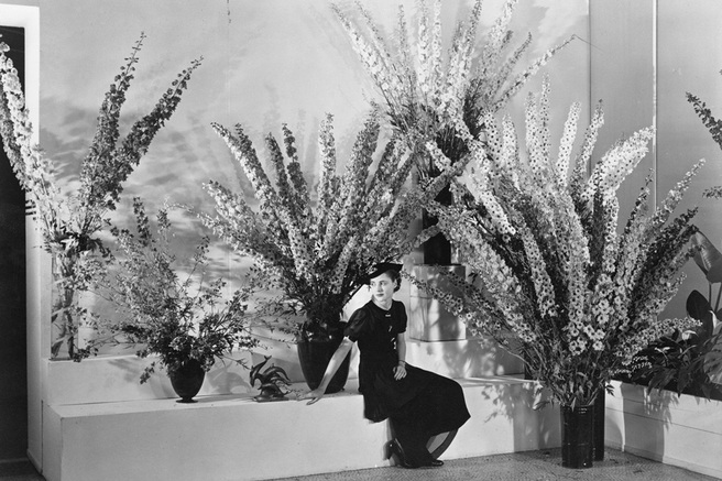 ��� �������� � ��������� �������� �������� �� ������ �� ����