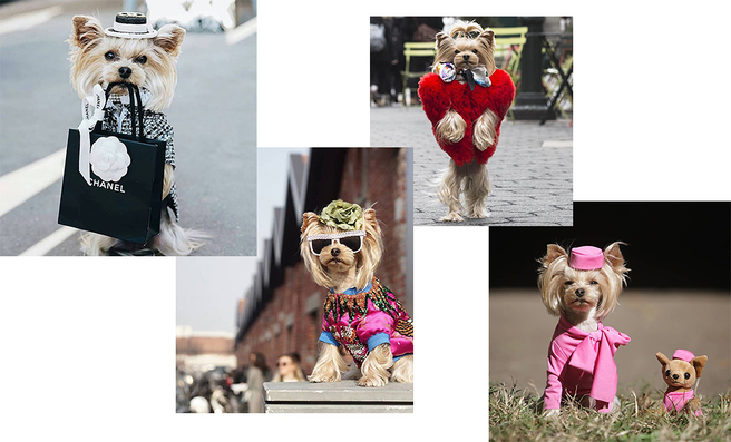 ����: streetstyle-������ ������ ���� � ������