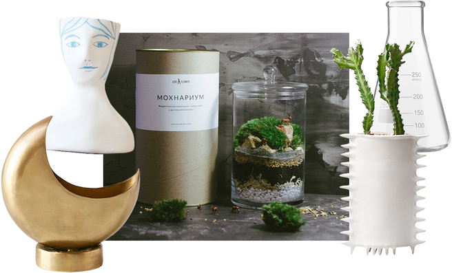 10 ��������� �������� ���������� ��������