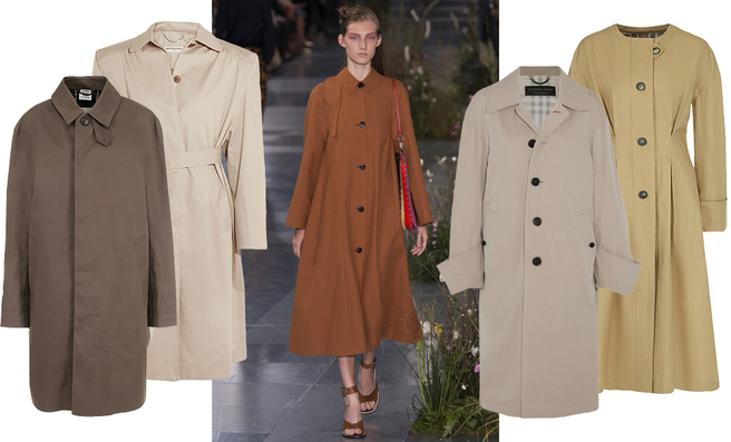 �������� � ����� ������ ���� �����