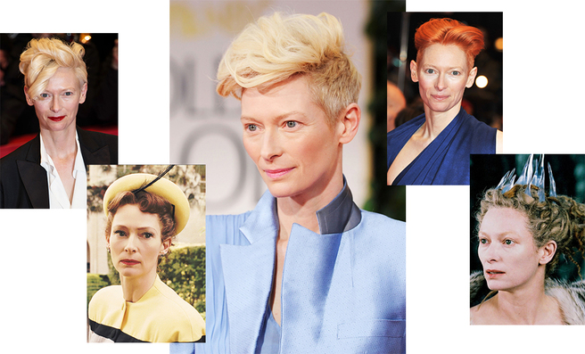 ������������� ������� �������� ������ �������