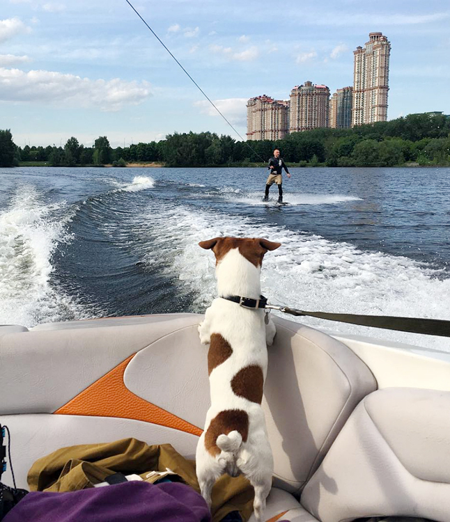 �������� � �������� � ���� � ������ � ������