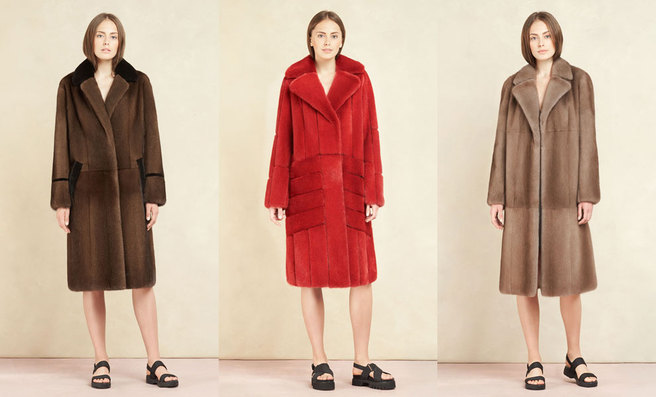 Emil Shabaev �����-���� 2017