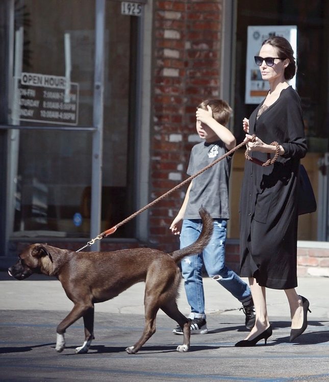 ��������� ����� � ������ Everlane � ����� ������ � ���� ����� � ���-���������