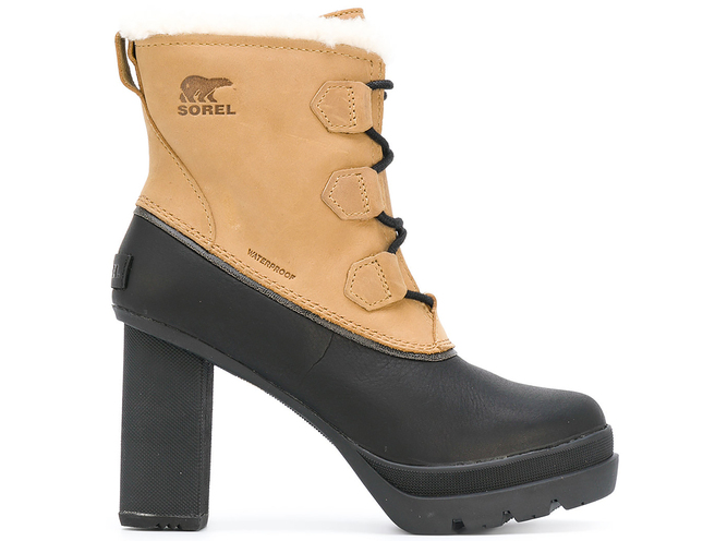 �� �������: 17 ��� ������� �� ��������� �������