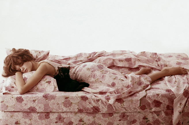 ����������� �������� ��� ������ ��������