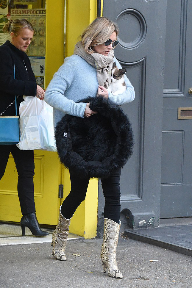 ���� ���� � �������