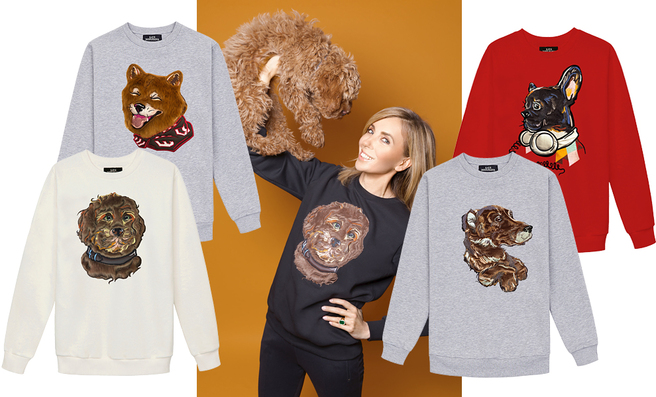 ��������� ������ �� ��������� Katya Dobryakova