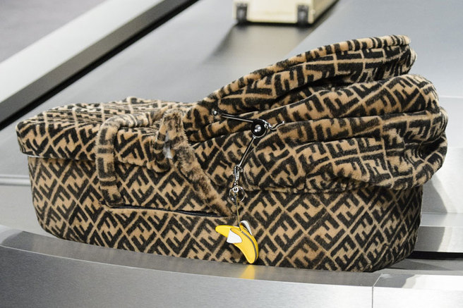 ���������� Fendi �����-���� 2018