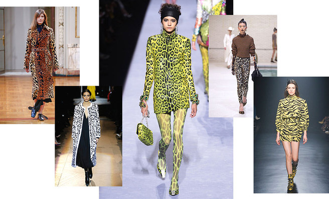 ������ ����� � ������� ��������� ������� ������� � ���-�����