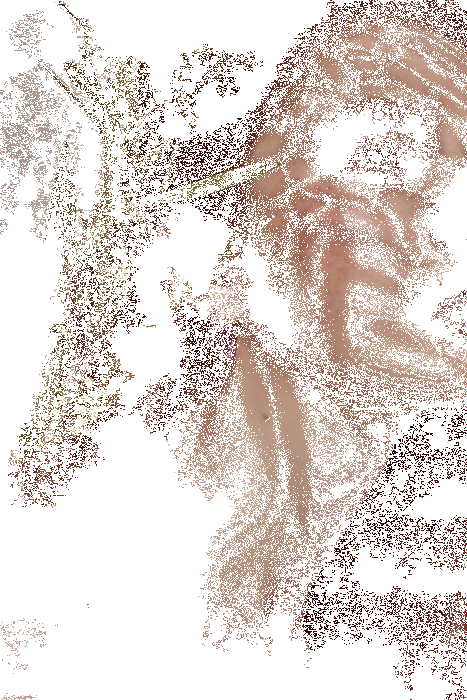 ������ �����, ������������� � ���������� Rose Dior � Archi Dior