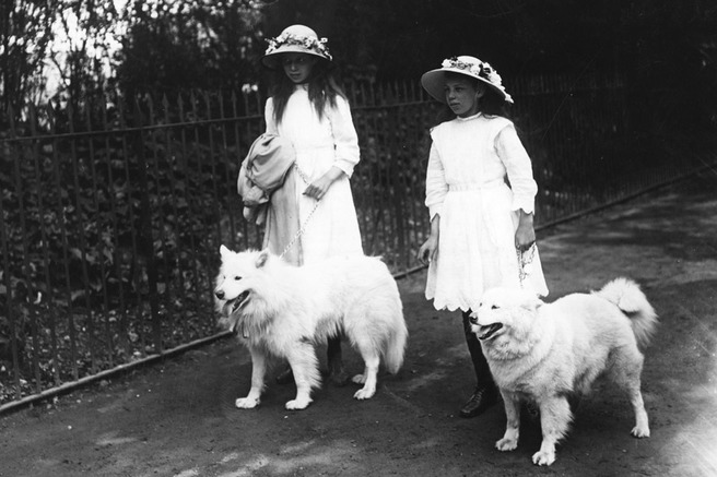 ��� ��-������� �������� ��������� ����������� �������� � ������