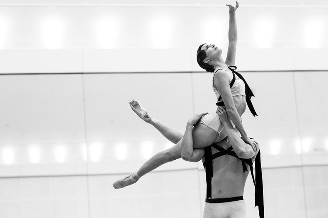 ������� ������������ ������ ������ ������� � �������� Erdem