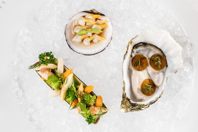 ������������ ����� � ���������� Four Seasons