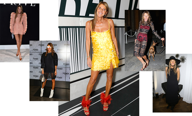 � ���� ��������, ���� ����� �����