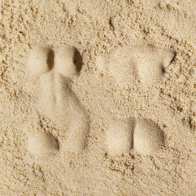 ��� ��������� �������� ����� ������