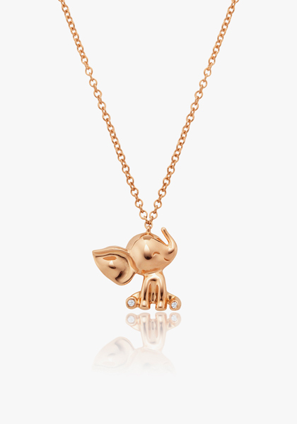 ������� ����: ������� ��������� Noa