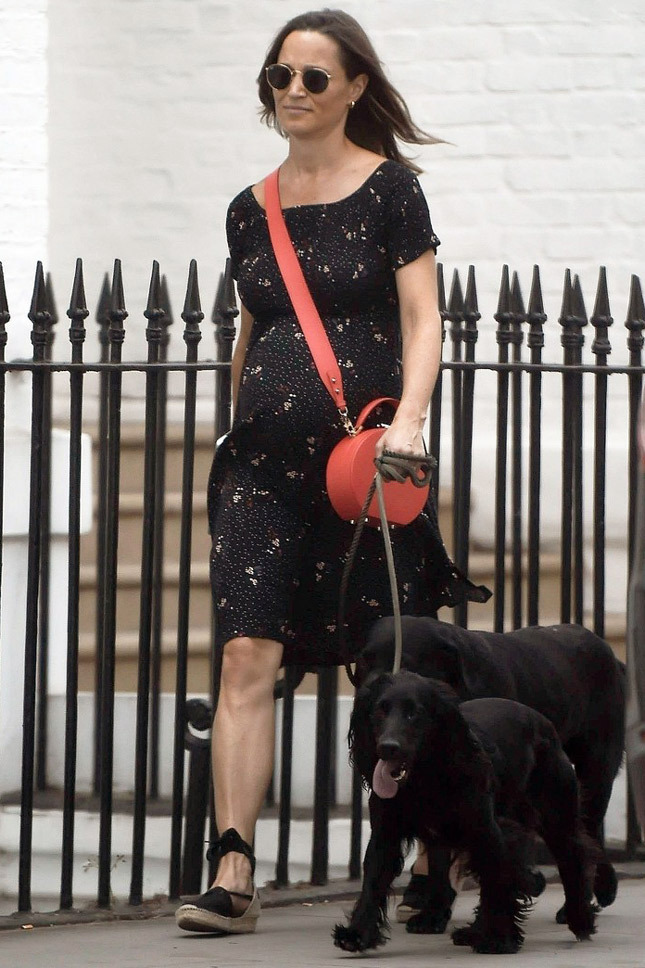 ����� �������� � �������