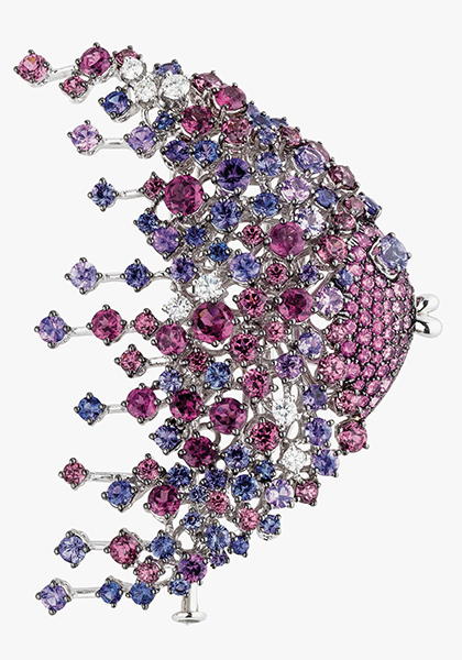 ������� �� ���������: �����-�������� Damiani