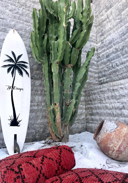 ���� ������������ �� ������ � �������