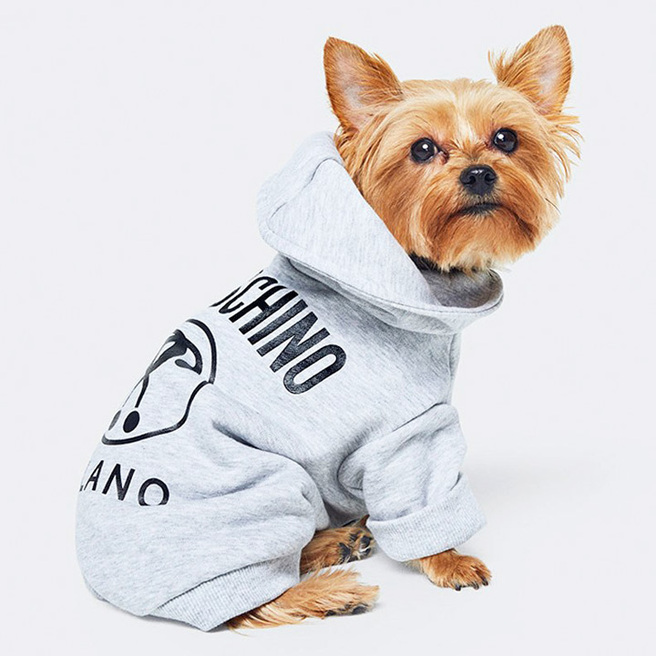 ������ ��� ����� Moschino � H&M