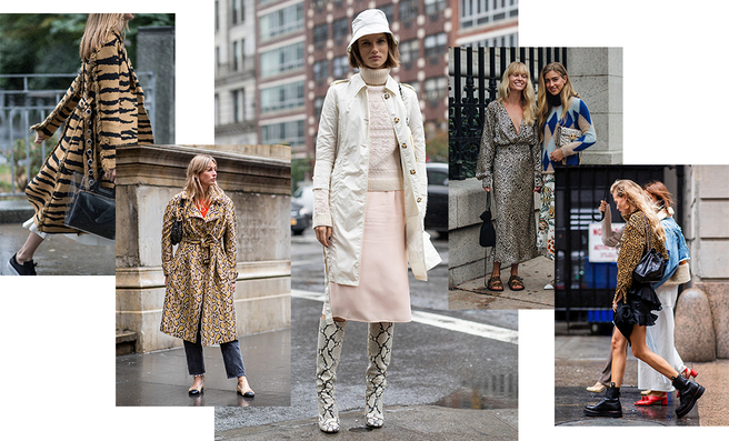 ��� ������ ������ ������